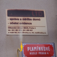 Plamínkové