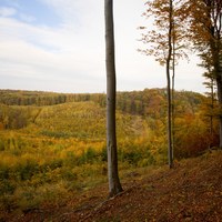 Podzim v Chřibech 