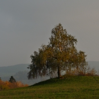 Podzimní nálada