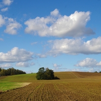 Vysočina u Knyku