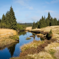 Rašeliniště Jizerka