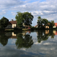 Rybník v Močeradech.