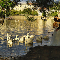 Japonská svatba na břehu Vltavy