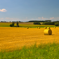 Letní romance