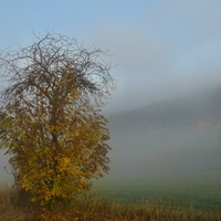 Podzim se hlási