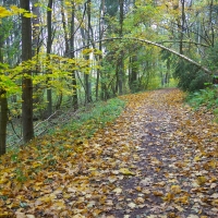 Podzimní přírodou