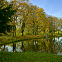 Na břehu rybnika