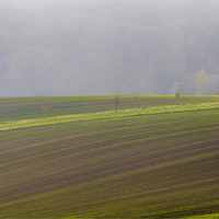 Polní linie.