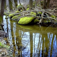 Pstruhový potok