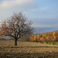 Barevný podzim