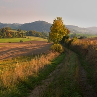 Podvečerní