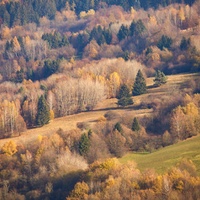 Podzim na Kopanicích 