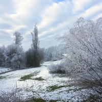 Ranní s námrazou