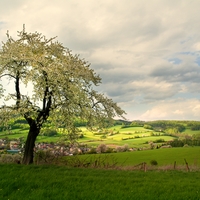 Jarní