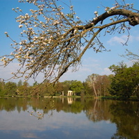 Jarní
