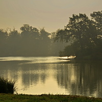 Ráno