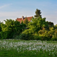 Podvečer