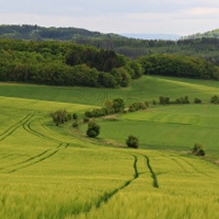 Kolovečsko