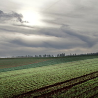 V podvečer