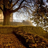 Předhradí