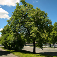 Park v centru Prahy 