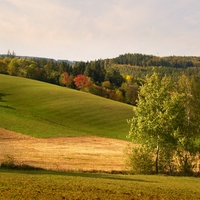 Podvečerní