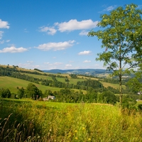 V kopcích