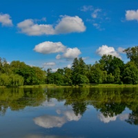 Letní krajina