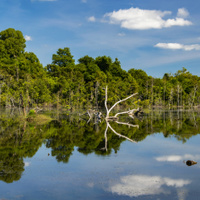 East Baray