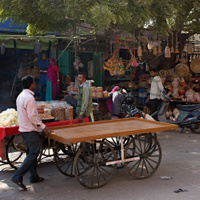 Džódpur
