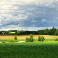 Vysočina u Knyku