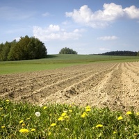 Vysočina u Zbožice