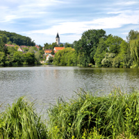 Léto přichází 