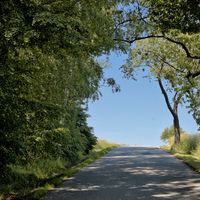 Stinná cesta