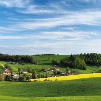 Krajina s řepkou