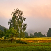 Zrána