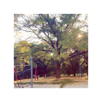 srpen..