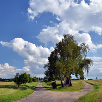cvak