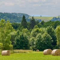 Horské louky
