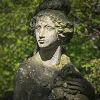 Flora