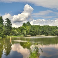 V podvečer
