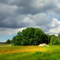 Vysočina u Knyku