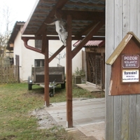Varování