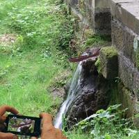 Ojedinělý záběr