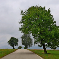 Před deštěm 