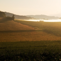 Ranní