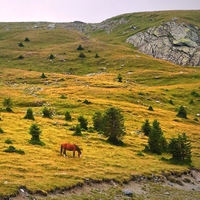 Rumunské Karpaty