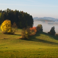 Mlha v údolí