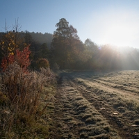 Mrazivo
