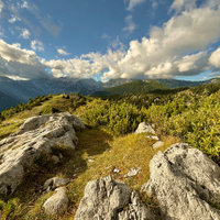 Velika Planina 